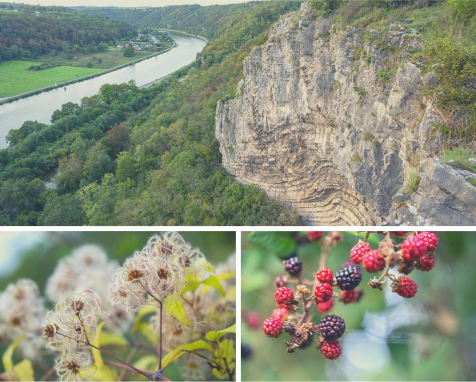 Laissez-Vous Enchanter Par La Vallee De La Meuse Hastiere-par-dela Экстерьер фото